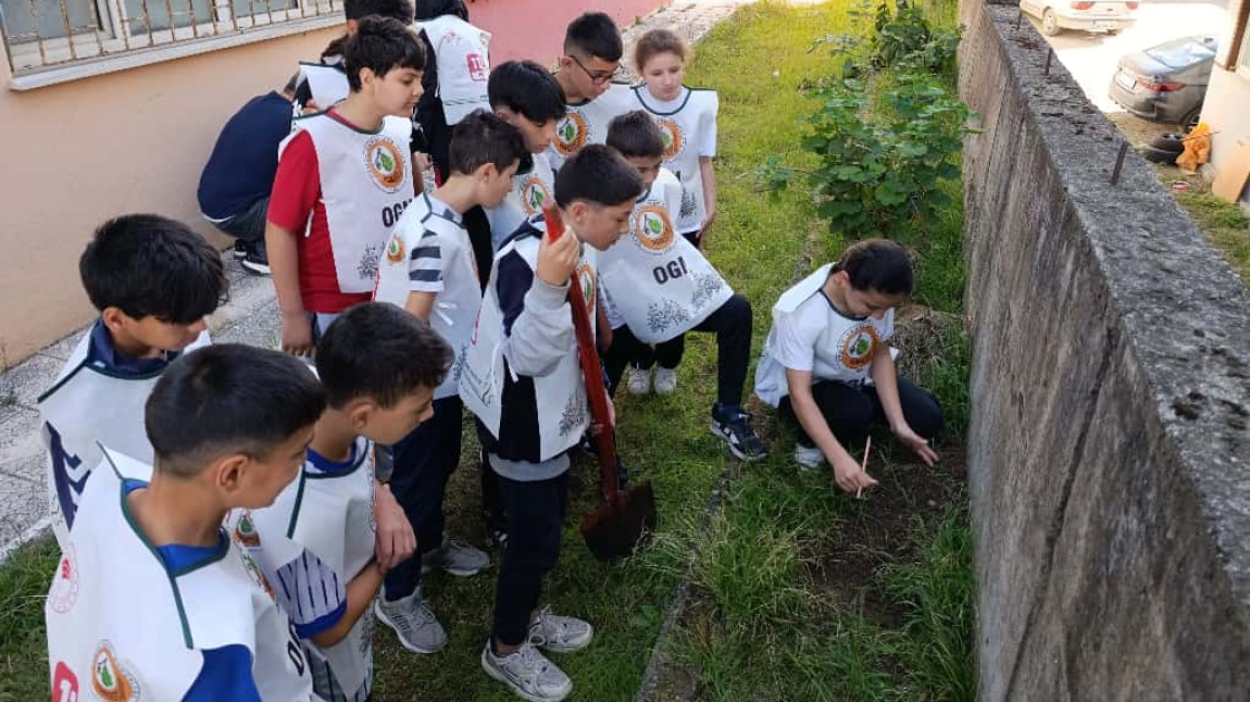 YEŞİL VATAN BENİM OKULUM GELECEĞE ÇARE ETKİNLİĞİ